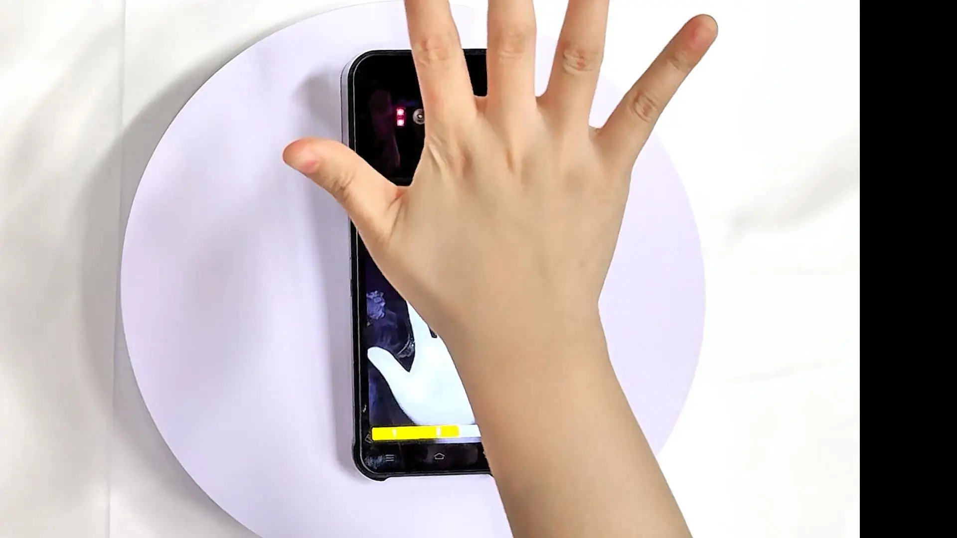 Palm Vein Payment The Contactless Biometric 'Black Tech' Reshaping Finance Commerce